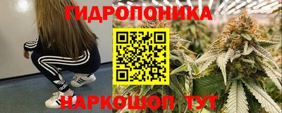 прущий лед Аша