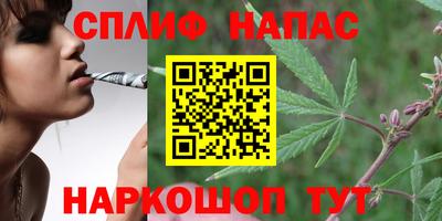 прущий лед Аша