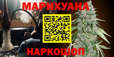 спайс Ачхой-Мартан