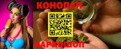спайс Ачхой-Мартан