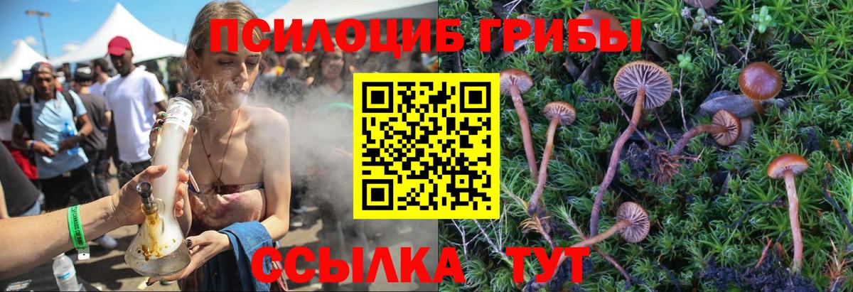 Псилоцибиновые грибы Psilocybine cubensis  Вход с VPN  Новодвинск  Псилоцибиновые грибы ЛСД 