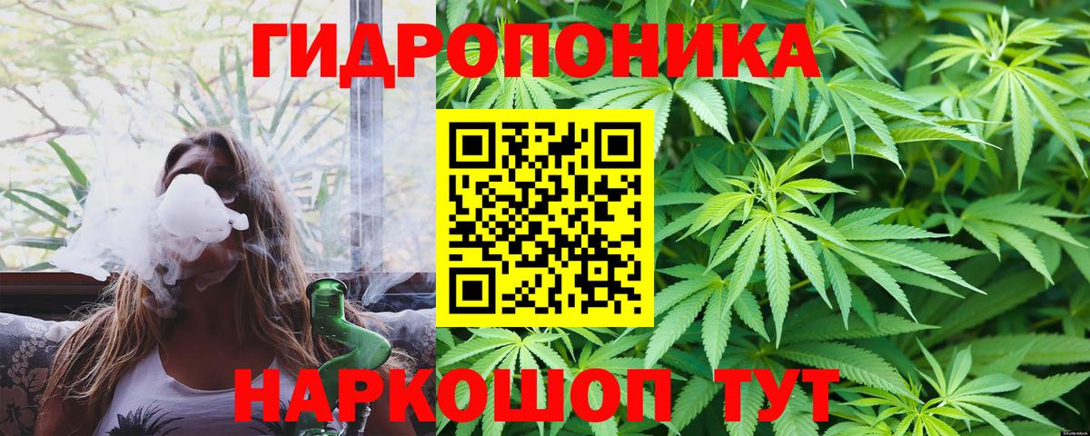 Бошки Шишки марихуана Новодвинск